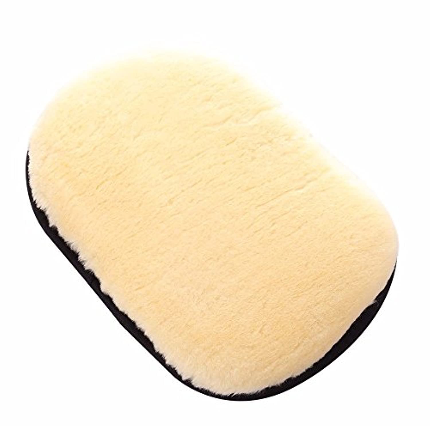 SGCB Wash Mitt